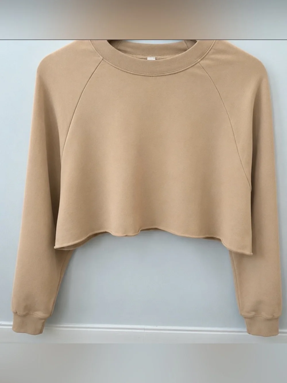 Alo Yoga Double Take Crop Pullover in Putty
